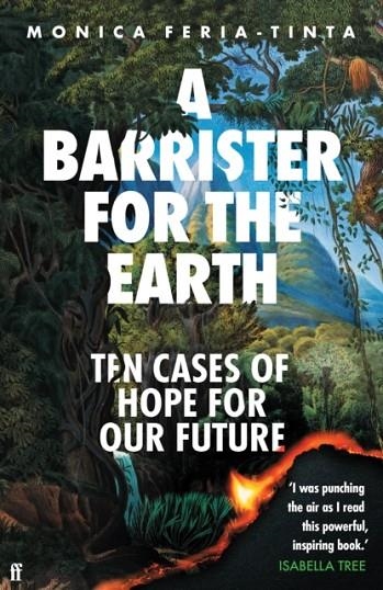 BARRISTER FOR THE EARTH, A: TEN CASES OF HOPE FOR OUR FUTURE | 9780571386369 | MONICA FERIA-TINTA