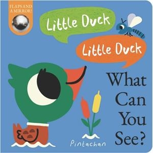 LITTLE DUCK! LITTLE DUCK! WHAT CAN YOU SEE? | 9781838917975 | PINTACHAN