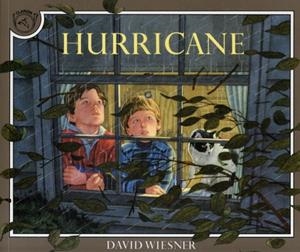 HURRICANE | 9780395629741 | DAVID WIESNER