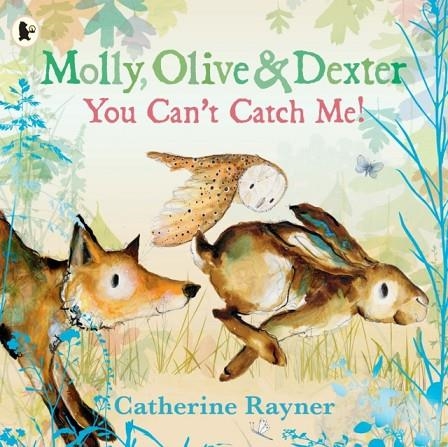 MOLLY, OLIVE AND DEXTER: YOU CAN'T CATCH ME! | 9781529523157 | CATHERINE RAYNER