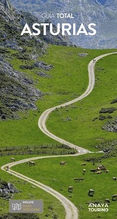 ASTURIAS | 9788491587095 | POMBO RODRÍGUEZ, ANTÓN