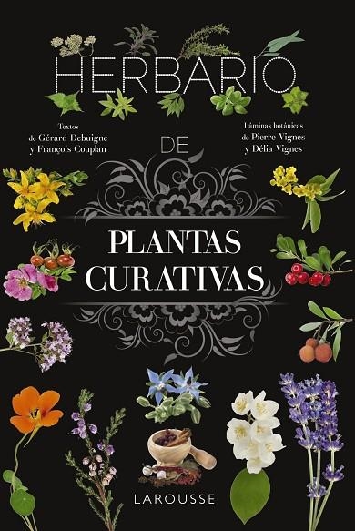 HERBARIO DE PLANTAS CURATIVAS | 9788410124110 | PIERRE VIGNES