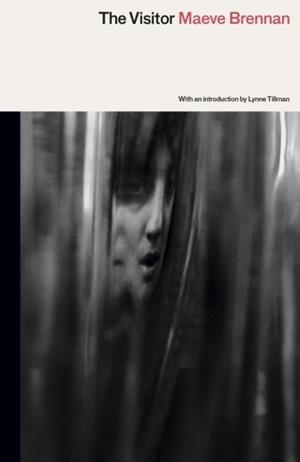 THE VISITOR | 9781913512637 | MAEVE BRENNAN