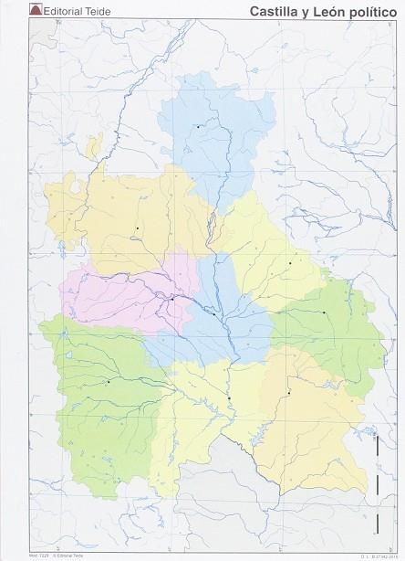 CASTILLA LEON POLITICO (COLOR)-MM. | 9788430772292
