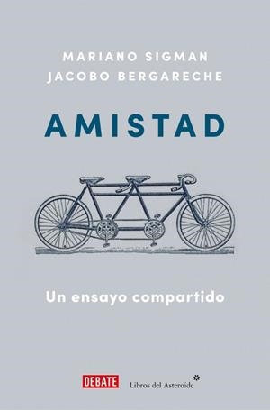 AMISTAD | 9788410433212 | JACOBO BERGARECHE