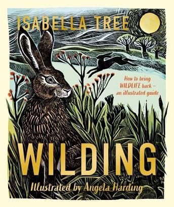 WILDING: HOW TO BRING WILDLIFE BACK - AN ILLUSTRATED GUIDE (HB) | 9781529092844 | ISABELLA TREE