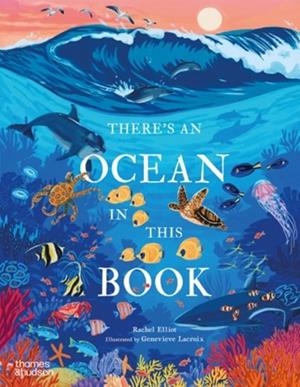 THERE'S AN OCEAN IN THIS BOOK | 9780500653760 | RACHEL ELLIOT