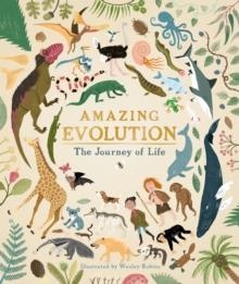 AMAZING EVOLUTION: THE JOURNEY OF LIFE | 9781782406365 | ANNA CLAYBOURNE