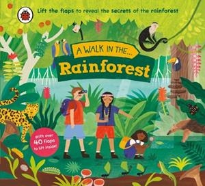 A WALK IN THE RAINFOREST | 9780241615553 | LADYBIRD,NORA DARE