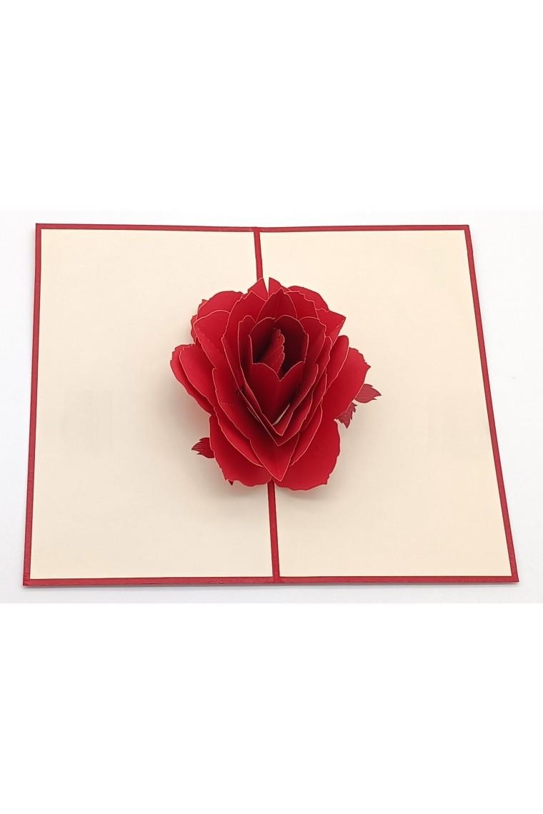 ROSAS | 8436560042495