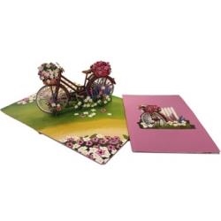 PASEO BICI | 8436560042433