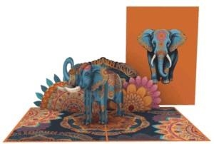 JAIPUR | 8436560042440