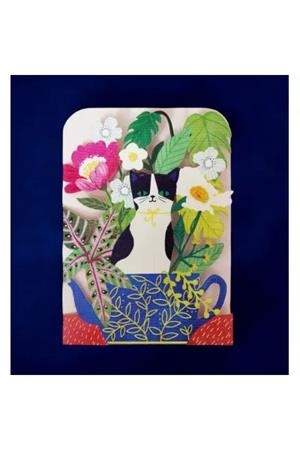 GATO PINTO | 0645707799668