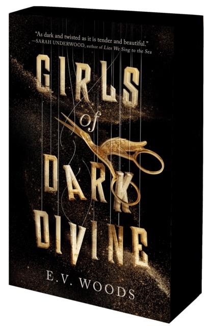 GIRLS OF DARK DIVINE | 9781805077633 | E V WOODS