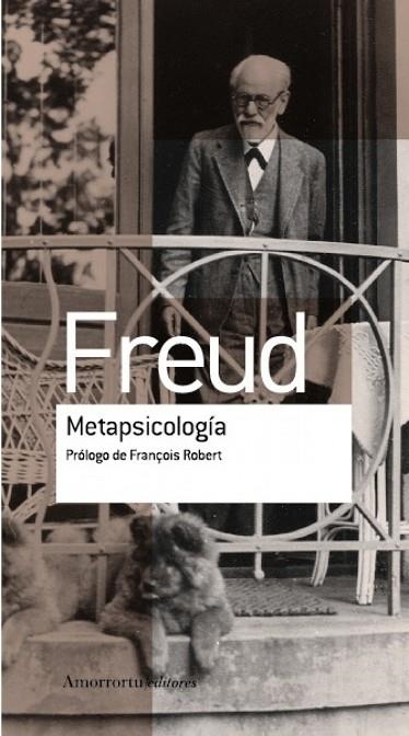 METAPSICOLOGIA | 9789505188666