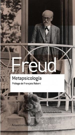 METAPSICOLOGIA | 9789505188666