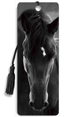BOOK MARKS: BLACK HORSE | 0650414125136