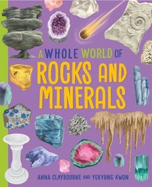 A WHOLE WORLD OF...: ROCKS AND MINERALS | 9781445188577 | ANNA CLAYBOURNE