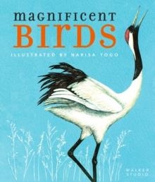 MAGNIFICIENT BIRDS | 9781406393088 | NARISA TOGO