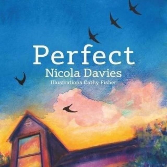PERFECT | 9781912213498