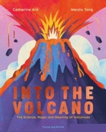 INTO THE VOLCANO | 9781838741754 | CATHERINE ARD