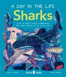 SHARKS (A DAY IN THE LIFE) | 9781838992064 | JACKSON /SQUID