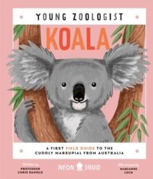 KOALA (YOUNG ZOOLOGIST) | 9781838992729 | DANIELS/SQUID