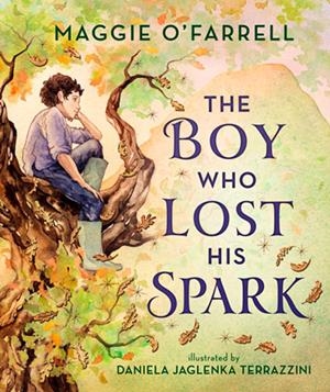 THE BOY WHO LOST HIS SPARK | 9781529529784 | O'FARRELL AND JAGLENKA