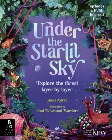 UNDER THE STARLIT SKY | 9781800787377 | JAMES ALDRED