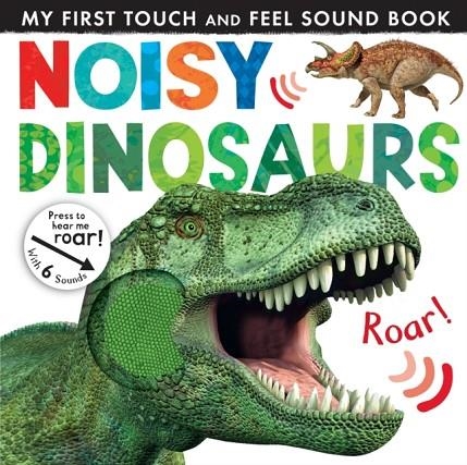 NOISY DINOSAURS | 9781848691650 | JONATHAN LITTON