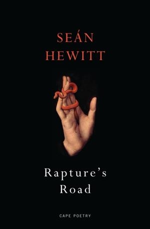 RAPTURE'S ROAD | 9781787334274 | SEAN HEWITT