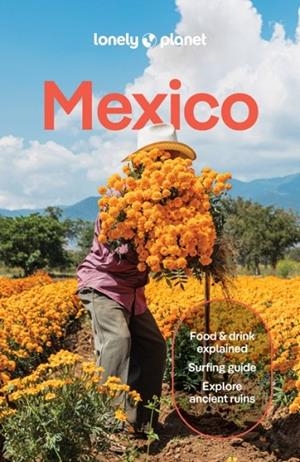 MEXICO 19 | 9781837583973