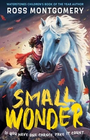 SMALL WONDER | 9781529526127 | ROSS MONTGOMERY