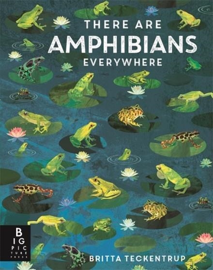 THERE ARE AMPHIBIANS EVERYWHERE (HB) | 9781800787124 | CAMILLA DE LA BEDOYERE