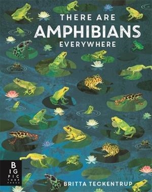 THERE ARE AMPHIBIANS EVERYWHERE (HB) | 9781800787124 | CAMILLA DE LA BEDOYERE