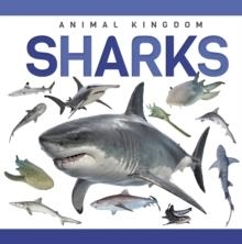 ANIMAL KINGDOM. SHARKS | 9781952455889 | ALEX HALL