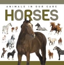 ANIMALS IN OUR CARE - HORSES | 9781952455933 | ALEX HALL