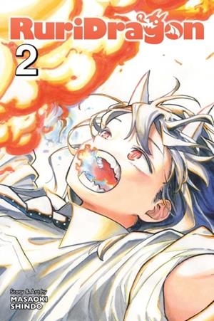 RURIDRAGON, VOL. 2 | 9781974756063 | MASAOKI SHINDO