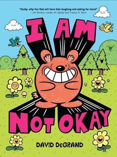 I AM NOT OKAY | 9781454953319 | DAVID DEGRAND