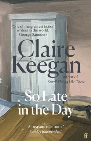 SO LATE IN THE DAY | 9780571398041 | CLAIRE KEEGAN