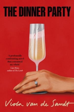 THE DINNER PARTY | 9781035429851 | VIOLA VAN DE SANDT