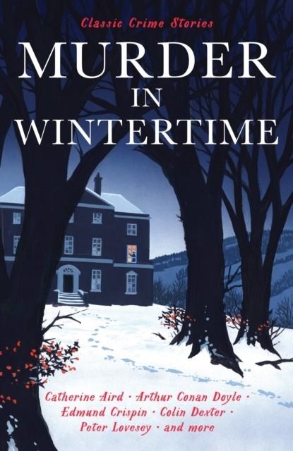 MURDER IN WINTERTIME | 9781805224990
