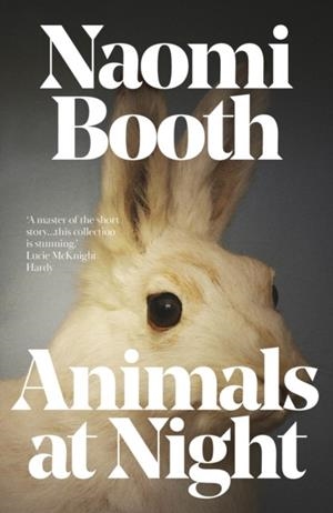 ANIMALS AT NIGHT | 9781911585862 | NAOMI BOOTH