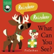 REINDEER! REINDEER! WHAT CAN YOU SEE? | 9781838918323 | DEE COSTELLO
