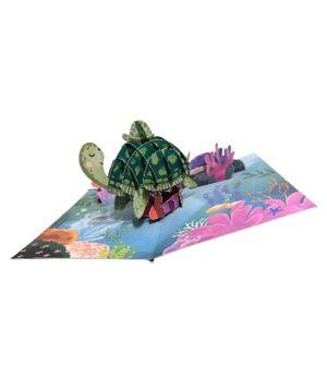 TORTUGA | 8436560042259