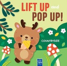 COUNTRYSIDE (LIFT UP AND POP UP) | 9789465240121