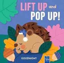 GOODNIGHT (LIFT UP AND POP UP) | 9789465240138