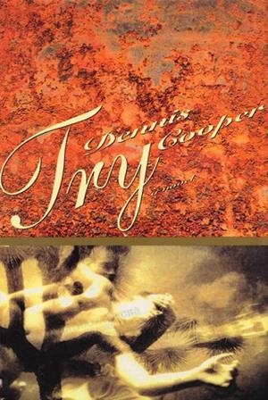 TRY (GEORGE MILES CYCLE #3) | 9780802133380 | DENNIS COOPER