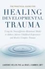 PRACTICAL GUIDE FOR HEALING DEVELOPMENTAL TRAUMA | 9781623174538 | LAURENCE HELLER