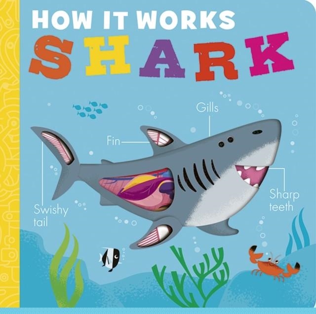 HOW IT WORKS: SHARK | 9781801046091 | MOLLY LITTLEBOY